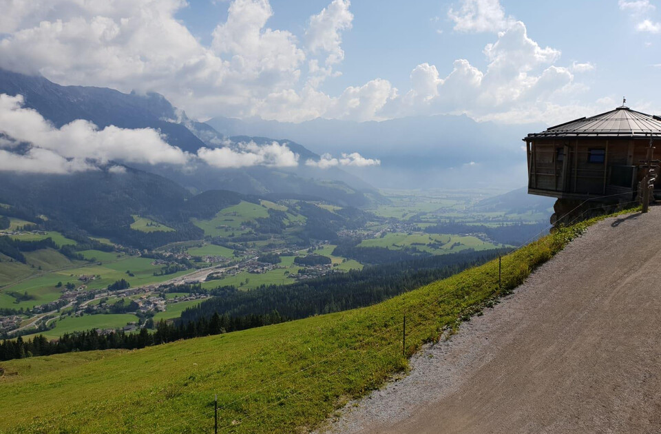 Steinadler | © Leoganger Bergbahnen