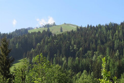 APT A B C VIEW FROM KITCHEN WINDOWS APT A B C VIEW FROM KITCHEN WINDOWS