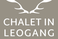 large logo large logo