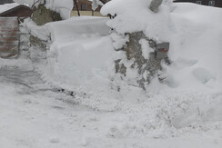 Laube Winter Laube Winter