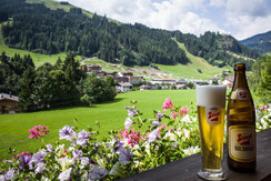 Appartments_Bierbaumer_4K-29 Appartments_Bierbaumer_4K-29
