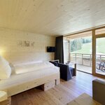 Photo of Junior suite, shower or bath, toilet, facing the mountains