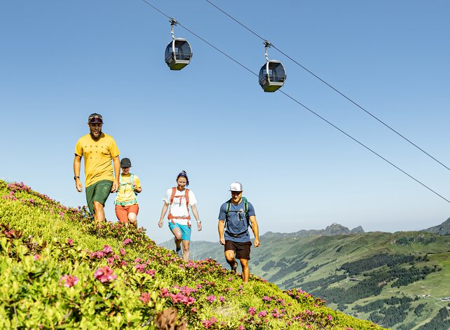 TVB Saalfelden