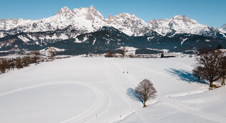 © Michael Geißler