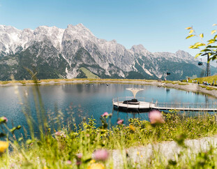 © Michael Geißler © Michael Geißler