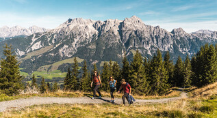 drei Wanderer unterwegs auf den Wanderwegen in Saalfelden Leogang | © Michael Geißler