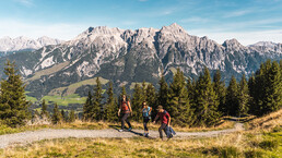 drei Wanderer unterwegs auf den Wanderwegen in Saalfelden Leogang | © Michael Geißler