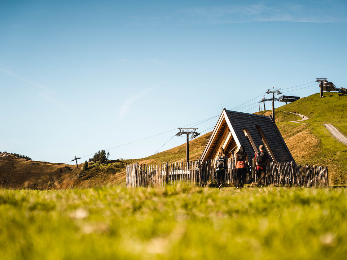 Berg der Sinne | © Michael Geißler wandern am Berg der Sinne in Leogang  | © Michael Geißler