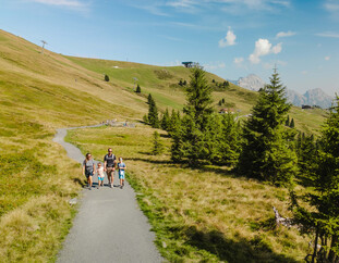 Familie mit zwei Kindern wandert auf einem schmalen Weg durch alpine Landschaft mit Wiesen und Bäumen | © Michael Geißler