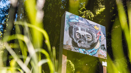 Kunstinstallation am Kunstwanderweg, zeigt ein Gesicht mit Bike-Helm, umgeben von Wald und Sonnenlicht – kreatives Highlight entlang der Strecke. | © Michael Geißler