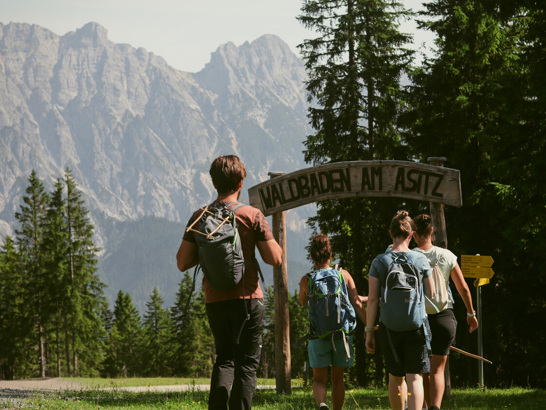 ine Gruppe Wander:innen mit Rucksäcken betritt den Waldbaden-Rundweg am Asitz unter einem hölzernen Eingangsschild, umgeben von Wald und Bergpanorama. | © Julia Sapper