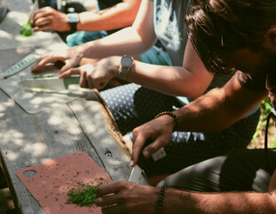 Waldbaden-Workshop – Kräuterwissen unter freiem Himmel | © Julia Sapper Mehrere Personen bereiten auf Holzbrettern frische Waldkräuter im Freien zu – Teil eines Waldbaden-Workshops am Asitz. | © Julia Sapper
