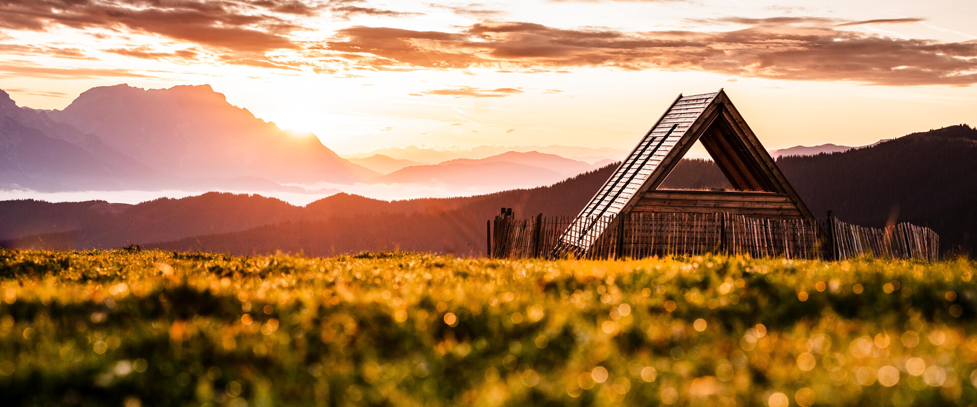 Sonnenaufgang am Asitz in Saalfelden-Leogang | © Michael Geißler