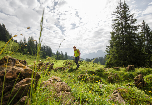 Moderate hike in the grass mountains