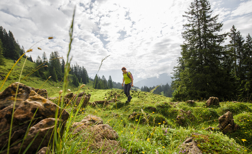 Mittelschwere Wanderung auf der Spielbergalm Mittelschwere Wanderung zwischen Gras- und Steinbergen