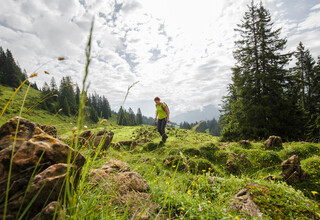 Mittelschwere Wanderung zwischen Gras- und Steinbergen