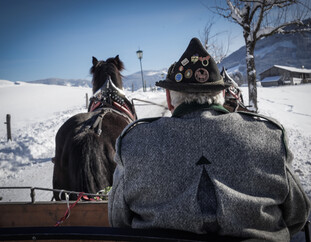 Horse sleigh ride in untouched winter landscapes in Saalfelden Leogang