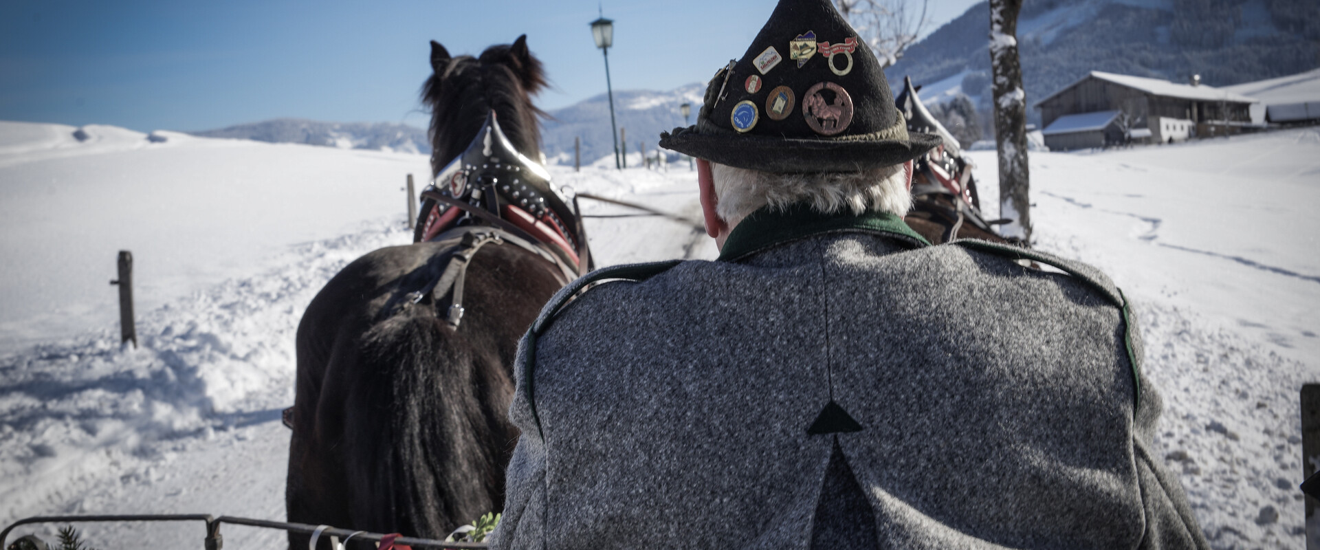 Horse sleigh ride in untouched winter landscapes in Saalfelden Leogang