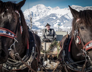 Horse-drawn sleigh ride - off-piste activities in Saalfelden-Leogang