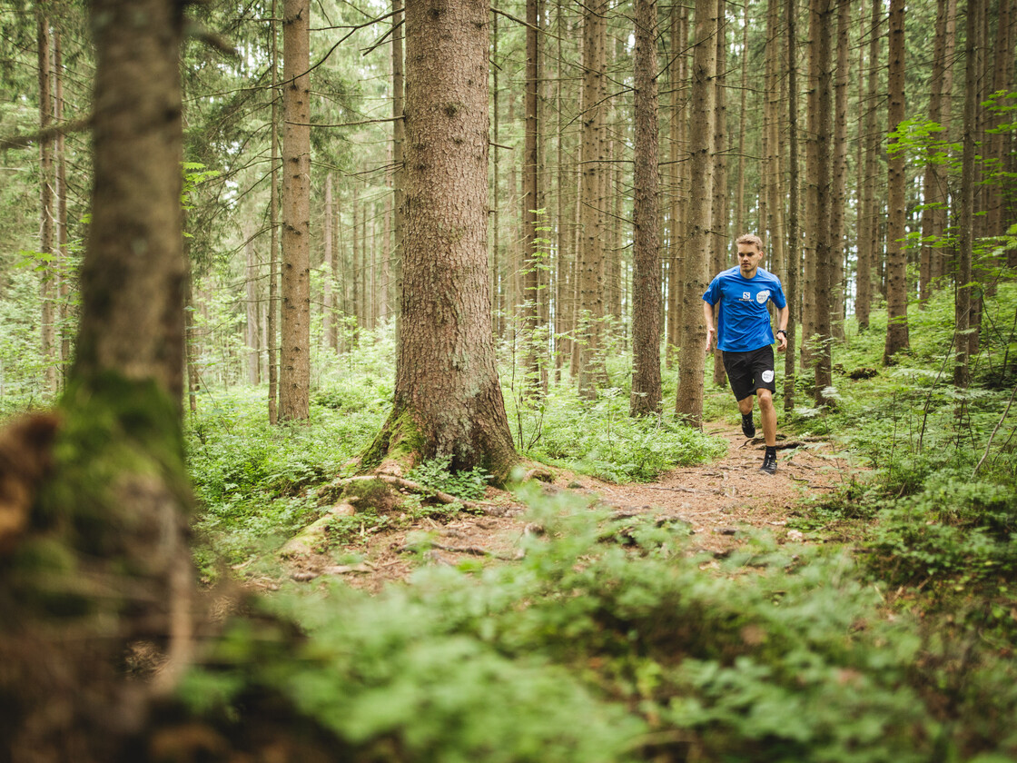 Laufstrecken im Wald Läufer auf der Waldstrecke in Saalfelden