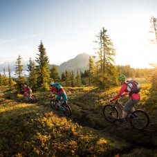 Bike Enduro Mountainbiker auf den Trails in Saalfelden-Leogang