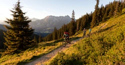 Mountainbiker in der Natur in Abendstimmung | © Klemens König