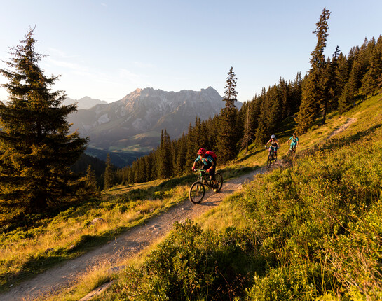 Mountainbiker in der Natur in Abendstimmung | © Klemens König