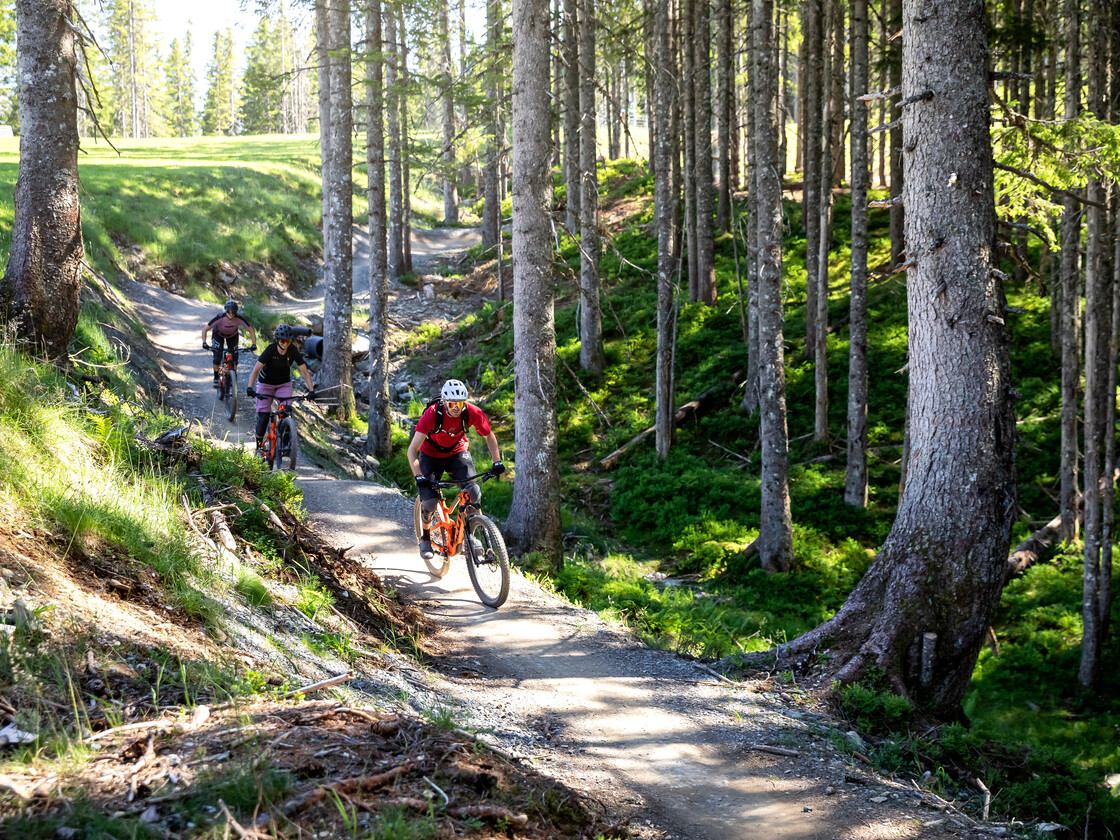 © Klemens König © Klemens König