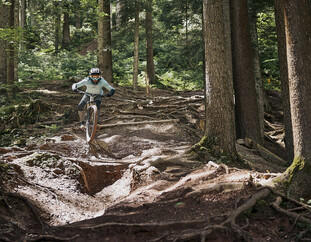 © Karin Pasterer Mountainbikerin meistert eine anspruchsvolle Wurzelpassage auf einem steilen Waldtrail mit ihrem Downhill-Bike. | © Karin Pasterer