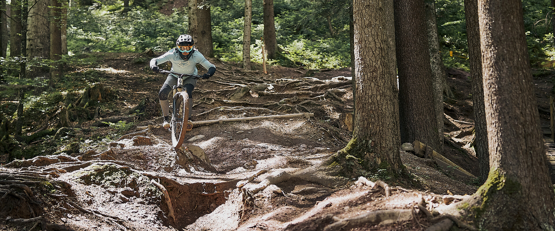 Mountainbikerin meistert eine anspruchsvolle Wurzelpassage auf einem steilen Waldtrail mit ihrem Downhill-Bike. | © Karin Pasterer