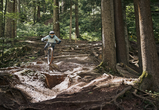 © Karin Pasterer Mountainbikerin meistert eine anspruchsvolle Wurzelpassage auf einem steilen Waldtrail mit ihrem Downhill-Bike. | © Karin Pasterer