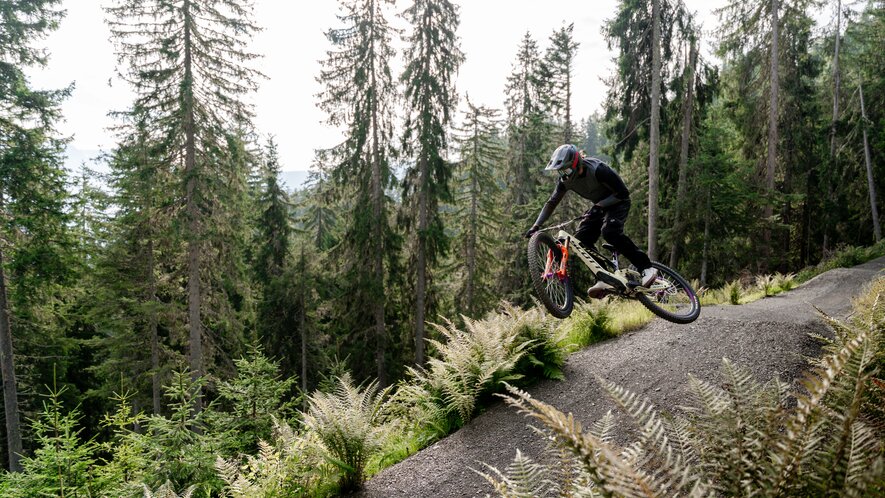 Mountainbiker springt mit seinem Downhill-Bike über eine Welle auf einem Waldtrail, eingerahmt von hohen Fichten und Farnen.