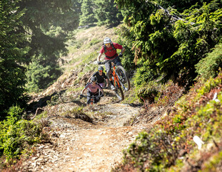 Biker on the Steinbergline on the way to the top of the mountain in Saalfelden-Leogang | © Klemens König