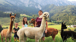 Alpaka Trekking in Leogang