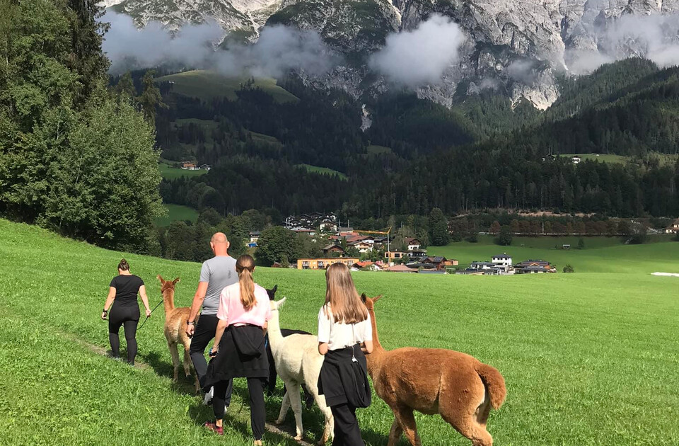 Wanderung im Sommer