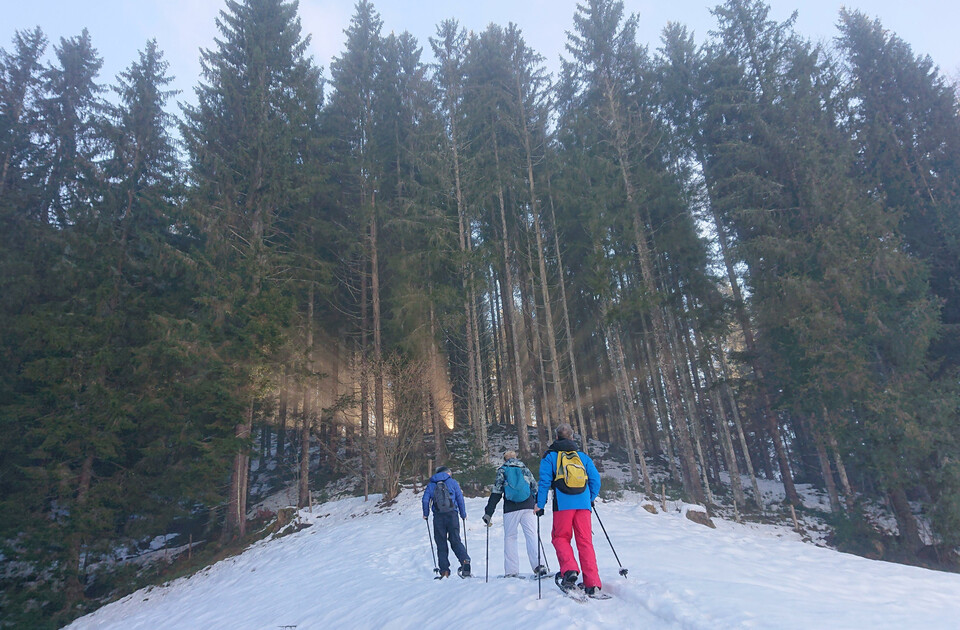 Schneeschuhwandern Region Saalfelden Leogang (C) M