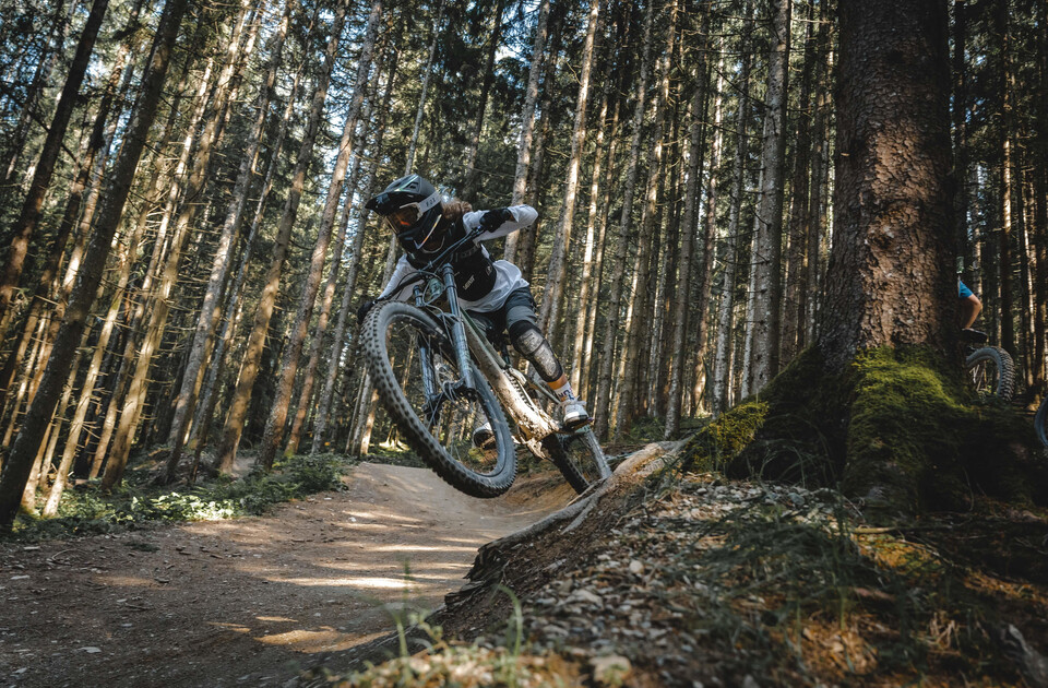 _DSC8219