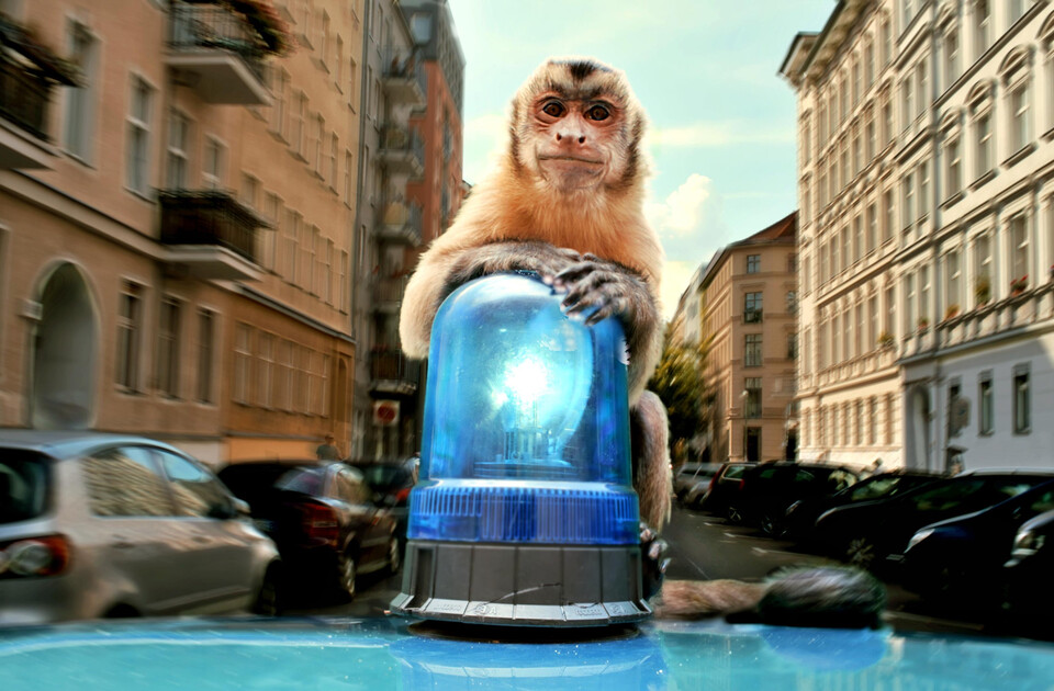 02_Akiko 01© Veit Helmer-Filmproduktion_farbfilm v