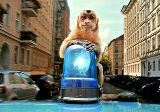 02_Akiko 01© Veit Helmer-Filmproduktion_farbfilm v