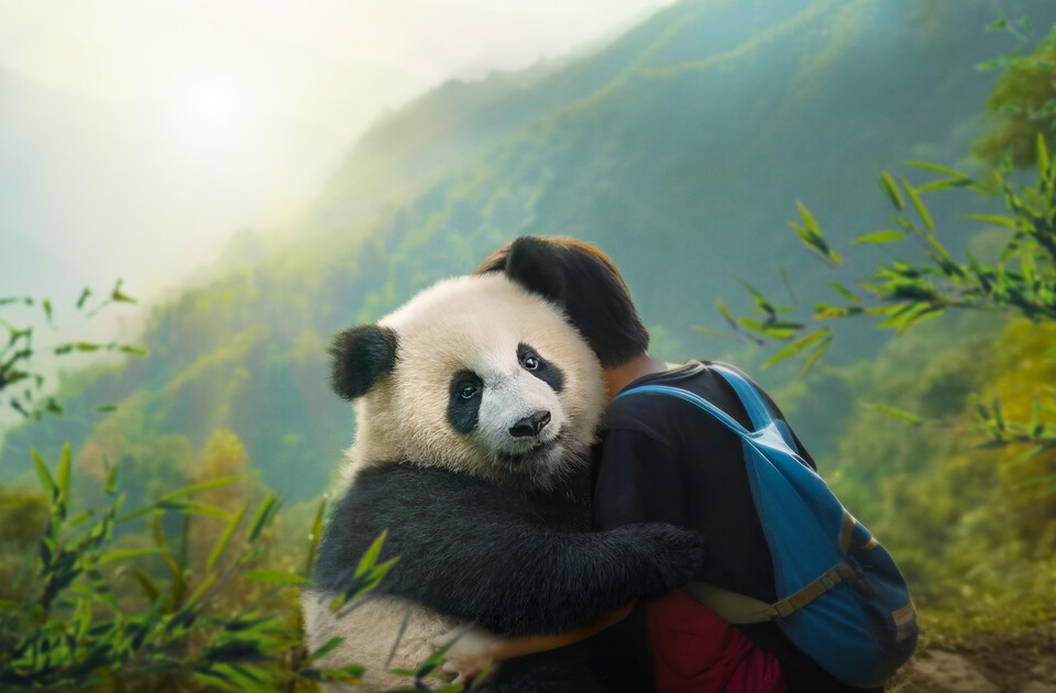 05_MoonDerPanda_01c_2024_MAIJUINPRODUCTIONS_GAUMON
