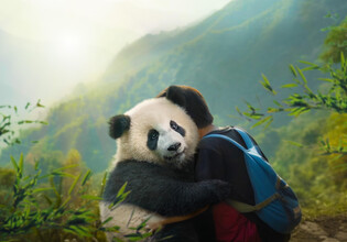 05_MoonDerPanda_01c_2024_MAIJUINPRODUCTIONS_GAUMON