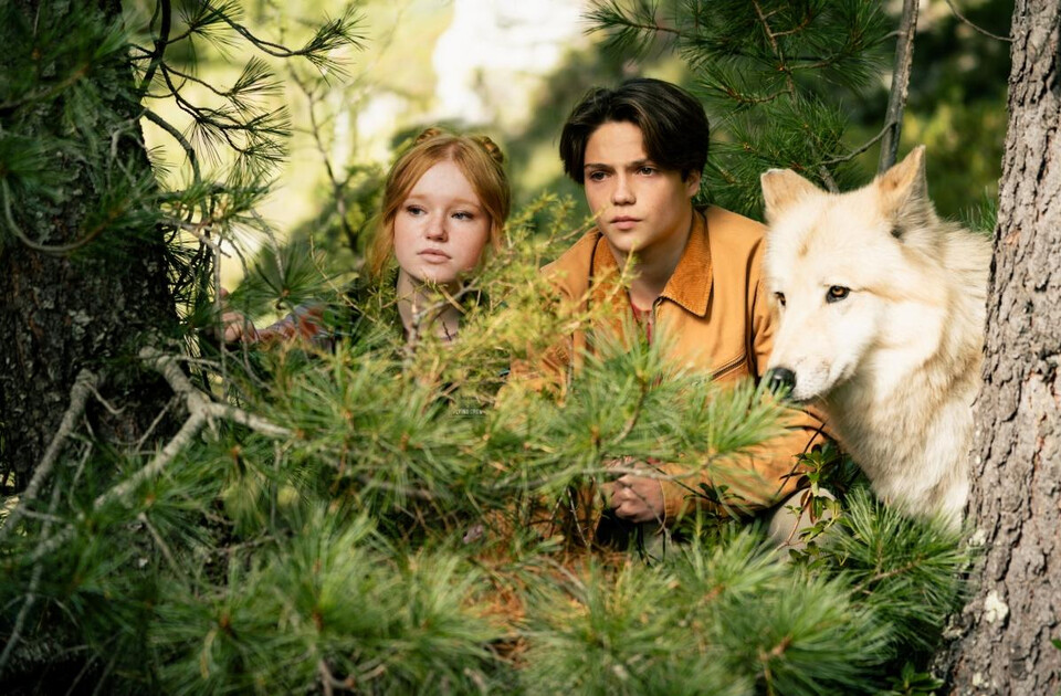 03_WOODWALKER_02© 2025 Studiocanal GmbH 