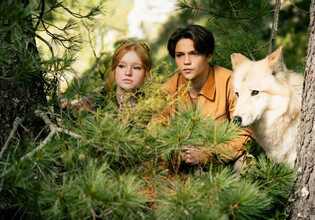 03_WOODWALKER_02© 2025 Studiocanal GmbH 