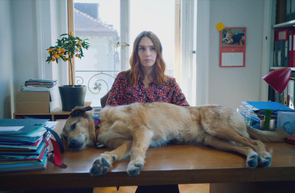 05_Hundschuldig_01c_2024_BANDEAPARTFILMS_ATELIERDE