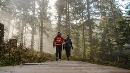 Wald | © Michael Geissler
