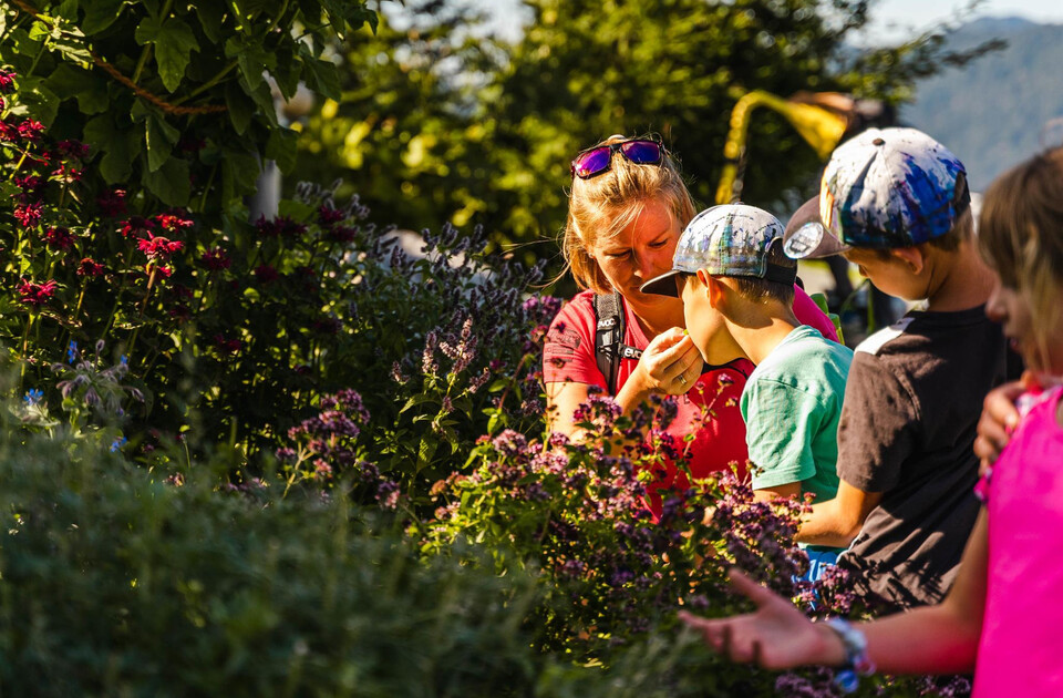 Kräuter- und Alpenpflanzenweg