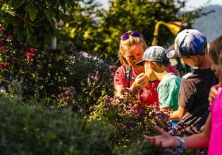 Kräuter- und Alpenpflanzenweg