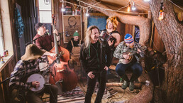 Stevenseagulls