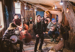 Stevenseagulls