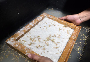 Papierschöpfen_Herbst_WEB Papierschöpfen_Herbst_WEB